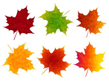 Sonbahar yaprakları simgesi düşmek