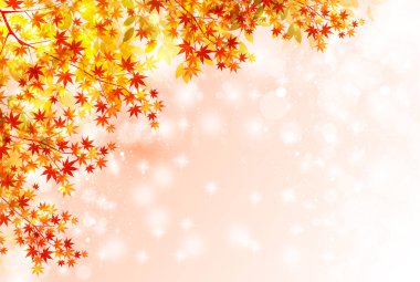 sonbahar yaprakları sonbaharda arka plan