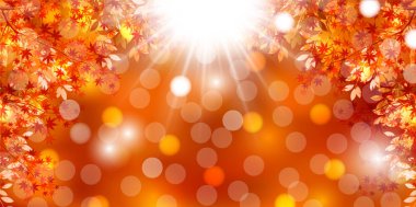 sonbahar yaprakları sonbaharda arka plan