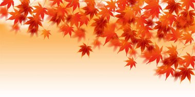 sonbahar yaprakları sonbaharda arka plan