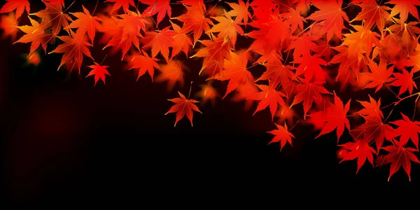 Herbst Blätter Fallen Hintergrund — Stockvektor