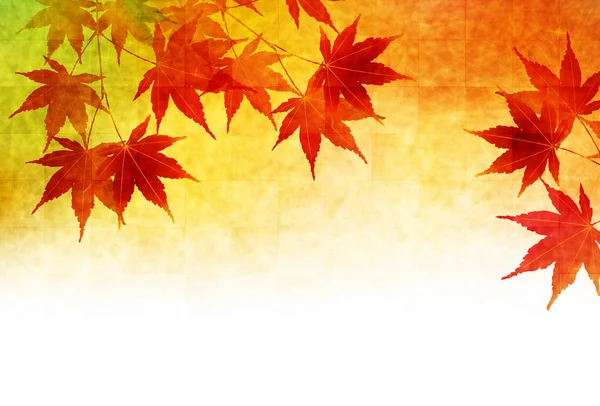 Podzimní Listí Podzim Pozadí — Stockový vektor