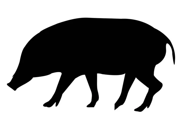 Jabalí Tarjeta Año Nuevo Animal Icono — Vector de stock