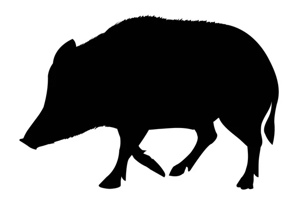 Wildschwein Neujahrskarte Tier Symbol — Stockvektor