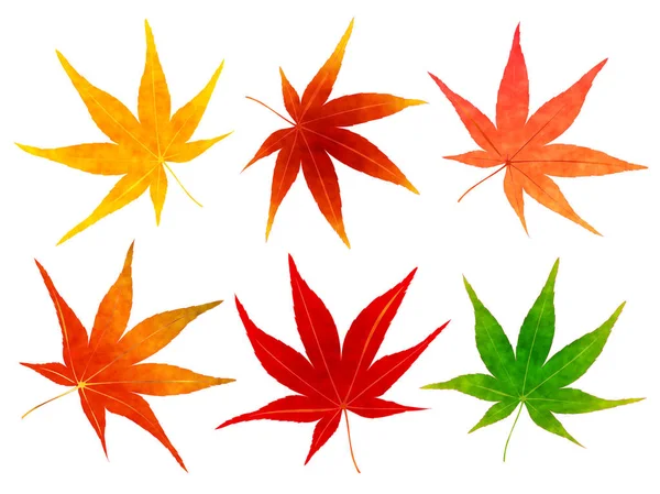 秋叶秋季图标 — 图库矢量图片