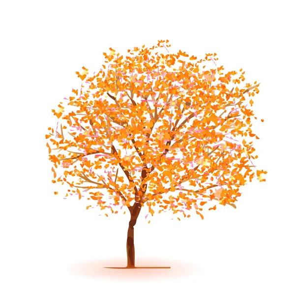 Autumn Leaf Tree Icon — Stock Vector