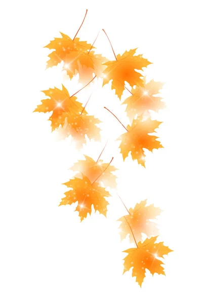 Podzimní Listy Podzim Opustí Pozadí — Stockový vektor