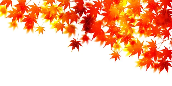 Sonbahar yaprakları arka planda kalır