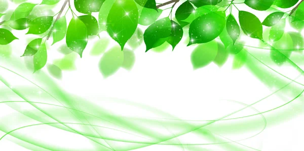 新鲜绿色生态曲线背景 — 图库矢量图片