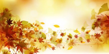 Sonbahar yaprakları akçaağaç sonbahar arkaplanı