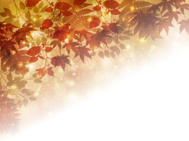 Sonbahar yaprakları akçaağaç sonbahar arkaplanı