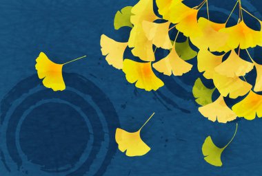 Ginkgo biloba arka plan sonbahar yaprakları