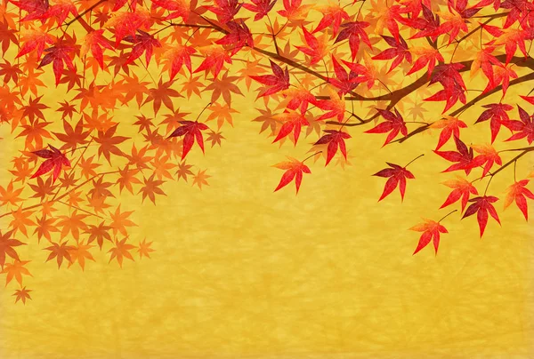 Otoño Hojas Arce Fondo Otoño — Vector de stock