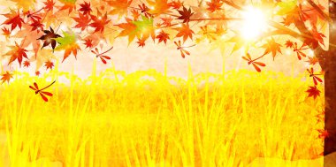 Pirinç ülke sonbahar arka plan