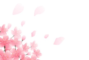 Yeni yıl kartı arka plan Sakura Japon kağıt