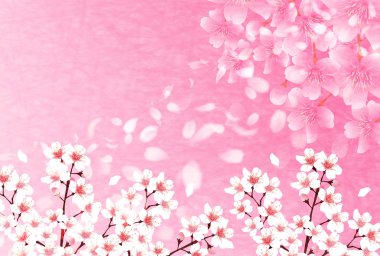 Yeni yıl kartı arka plan Sakura Japon kağıt