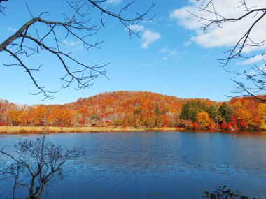 Sonbahar, sonbahar manzarası arka planından ayrılıyor