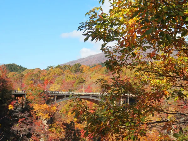 Autumn Leaves Autumn Landscape Background — Stock Photo, Image
