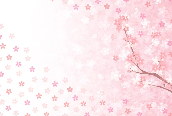 Sakura Blomma Hälsningen Kort Bakgrund — Stock vektor