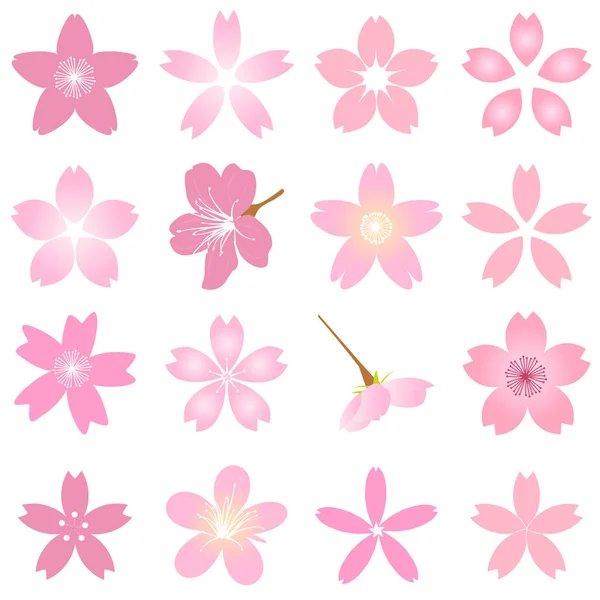 Flores Cerezo Icono Silueta Primavera — Vector de stock