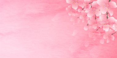 Kiraz çiçeği bahar çiçeği arka planı