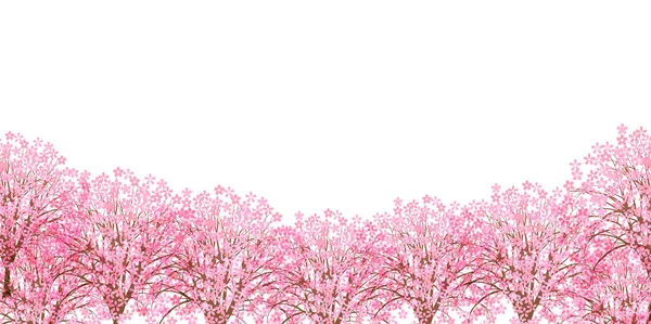 Cherry Květ Jarní Květina Pozadí — Stockový vektor