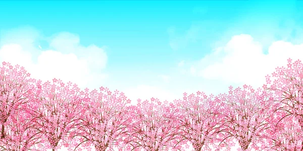 Cherry Blossom Spring Flower Background — Stock Vector