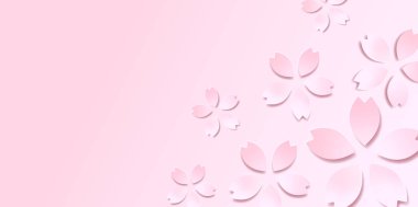 Kiraz çiçeği bahar çiçeği arka planı