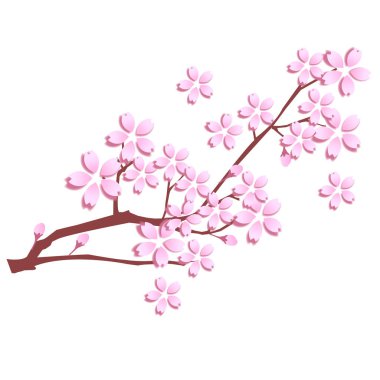 Kiraz çiçeği bahar çiçeği ikonu