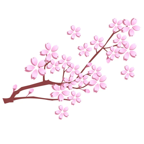 Cherry Blossom Spring Flower Icon — Stock Vector