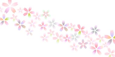 Kiraz çiçeği bahar çiçeği arka planı