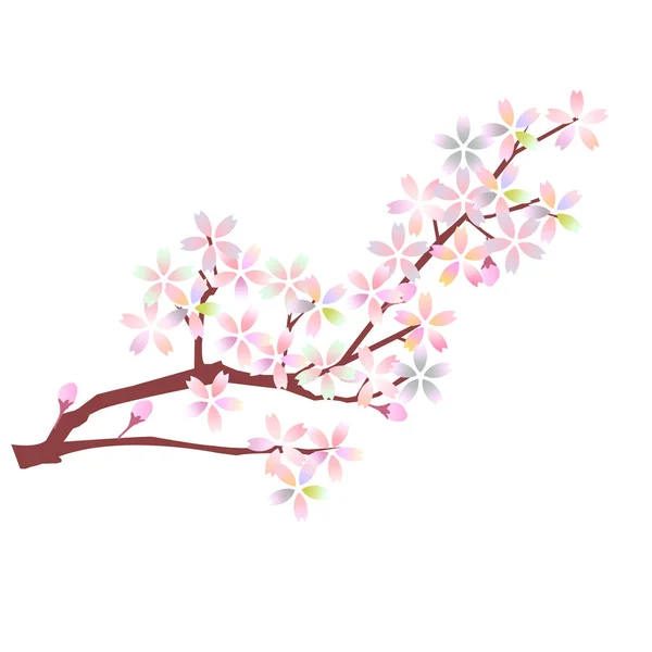 樱花春花图标 — 图库矢量图片
