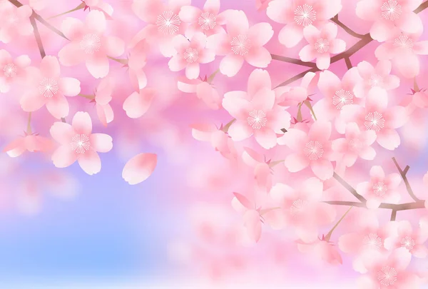 桜の春の花の背景 — ストックベクタ