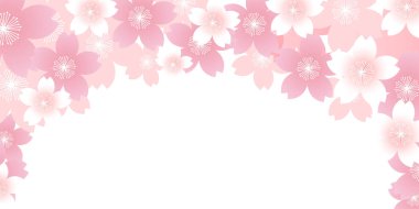 Kiraz çiçeği bahar çiçeği arka planı