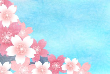 Kiraz çiçeği bahar çiçeği arka planı