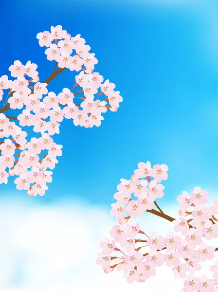 樱花春花背景 — 图库矢量图片