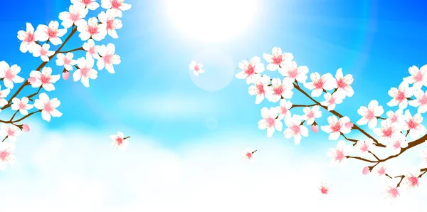 Вишневий Цвіт Весняний Квітковий Фон — стоковий вектор