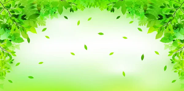 新的绿色叶子绿色背景 — 图库矢量图片