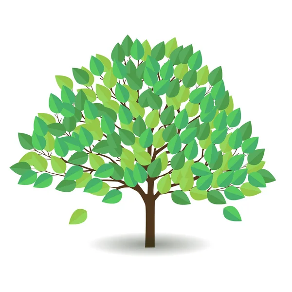 Świeży Zielony Liść Drzewo Ikona — Wektor stockowy