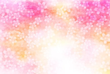 Kiraz çiçeği bahar çiçeği arka planı