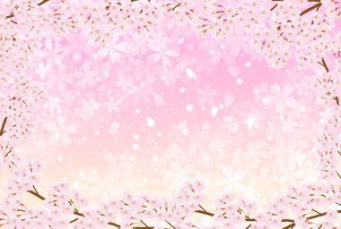 Kiraz çiçeği bahar çiçeği arka planı