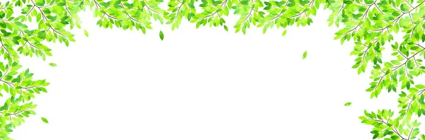 新的绿色叶子绿色背景 — 图库矢量图片