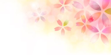 Kiraz çiçeği bahar çiçeği arka planı