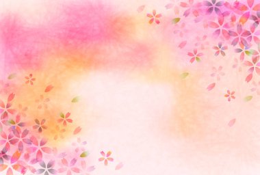 Kiraz çiçeği bahar çiçeği arka planı