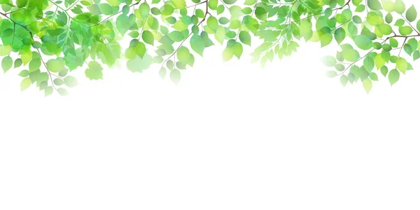 New Green Leaf Green Background — Stock Vector