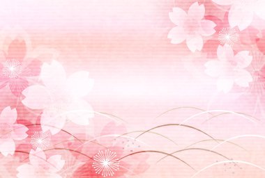 Kiraz çiçeği bahar çiçeği arka planı