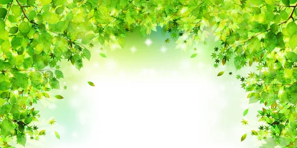 Свіже Зелене Листя Зелений Фон — стоковий вектор