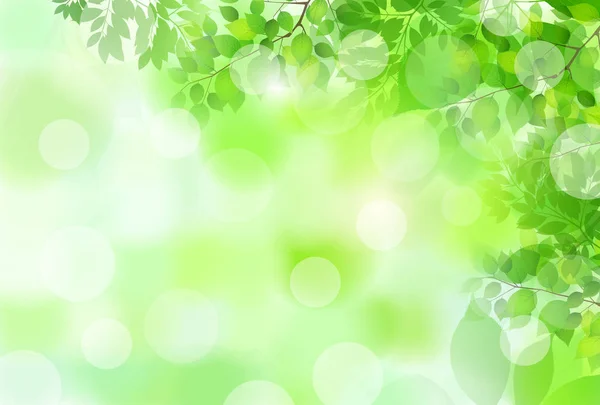 新鮮な緑の葉緑の背景 — ストックベクタ