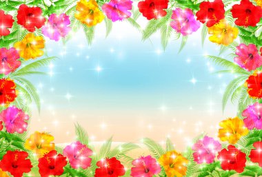 Hibiscus deniz yaz arka plan