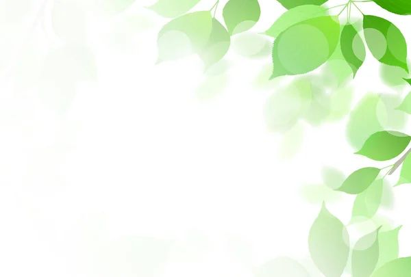Verse Groene Bladeren Groene Achtergrond — Stockvector